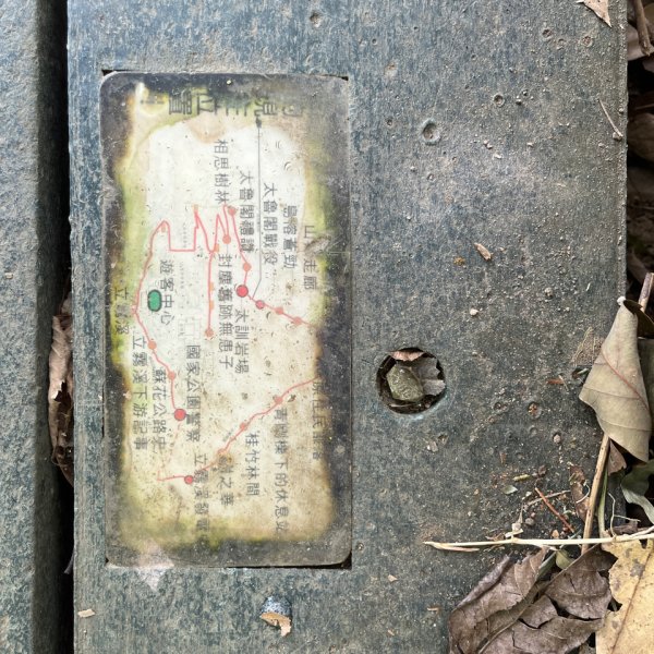 20251011_立霧山認證點（花蓮小百岳）2941279