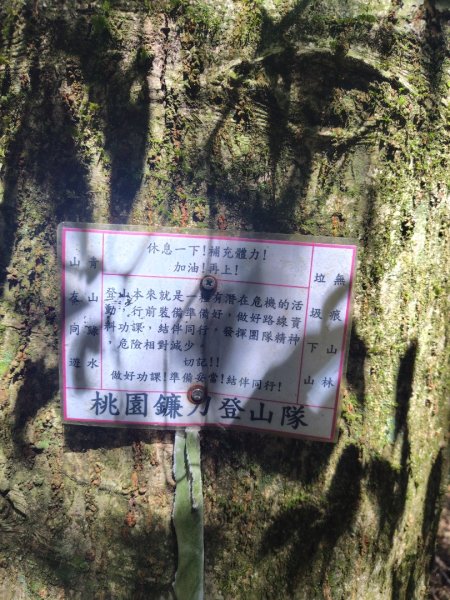 南東眼山連走有勝山2918752