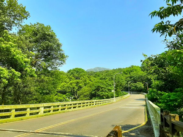 走遍陽明山：人車分道系統｜環七星山人車分道2093233