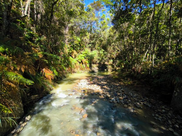 2024-08-22 澀水森林步道2578383
