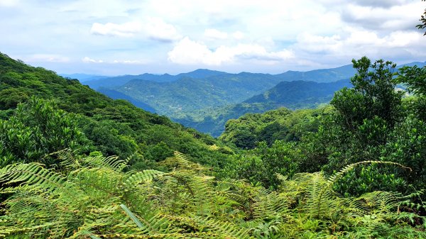 大砲岩，石壇山，大屯溪古道，三板橋，白雞山，雞罩山，石門內尖山，中和外員山，中坑山東北峰1738152