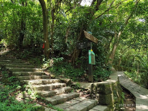 圓覺寺步道→新福本坑→碧湖步道→碧山公園→國立臺灣戲曲學院→碧湖公園→大港墘公園【臺北健走趣】2849241