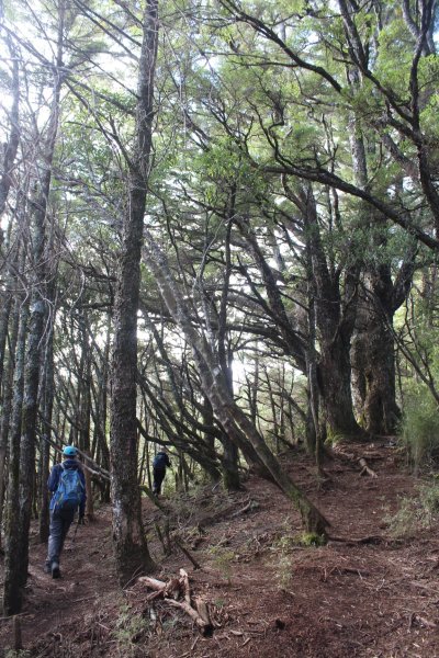 20211120南投郡大山1525100