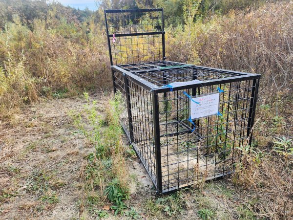 20251124福島核電廠最接近車站 大野駅與双葉駅2957820