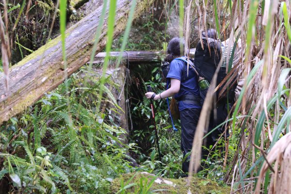 豐山眠月：石夢谷連走水漾千人洞2757765