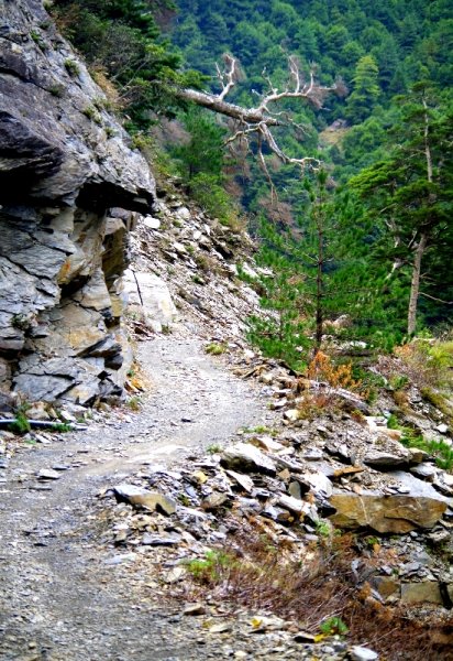 山風15度C吹拂 ~ 合歡溪 步道1551800