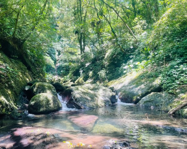 坪林-碧湖溪-蛋糕瀑布群（溯溪）2820918