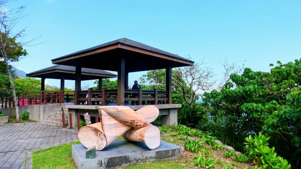 洄瀾東海岸3006735