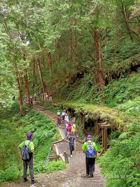 【台灣百大必訪步道】宜蘭太平山國家森林遊樂區 - 見晴懷古步道、檜木原始林步道（2-1 至蹦蹦車站）