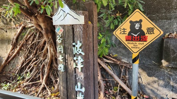 【中級山】谷關七雄波津加山2742322