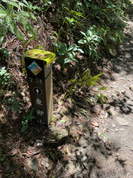 東卯山1750900