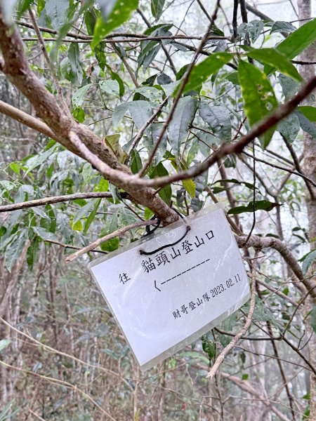 埔里撿基石-西關刀山西峰(貓頭山).牛眠山.三角嶺山(東南峰)  2024.12.142669815