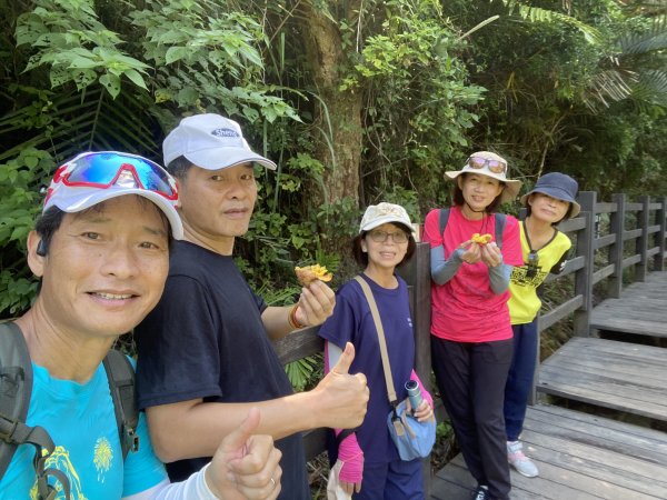 《夏日大坑同行記｜10號步道登稜線，與家人感受山風與人情味》2926336