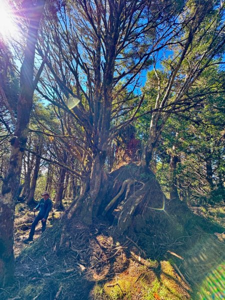 三星山(小百岳#85) 鳩之澤溫泉煮蛋趣2952830
