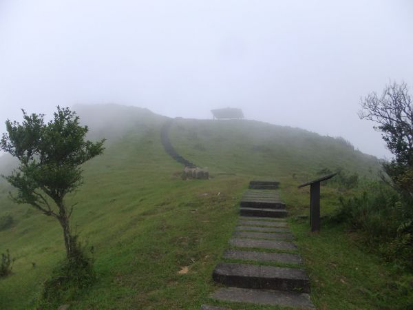 草嶺古道+桃源谷207597