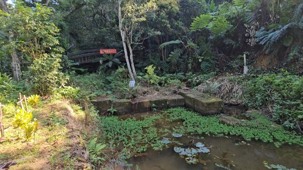 20251215林口森林步道+太平嶺海濱步道2969363