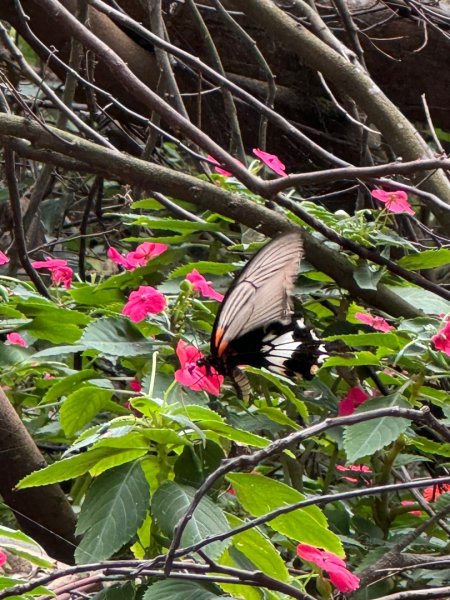 隴頂古道走萬里長城四百坎2672454