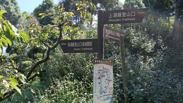 20251004 馬那邦山 - 珠湖 登山口2904901