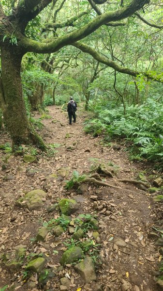 2026-0116 大屯三山_貴子坑_北投2984763