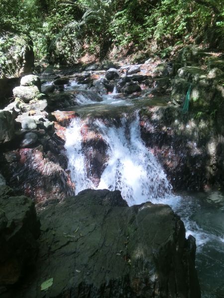 林美石磐步道．淡江蘭陽校區269007