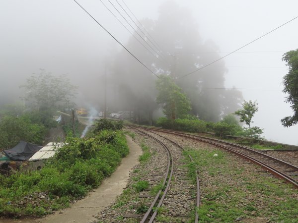 寧靜的小山村:水社寮973312