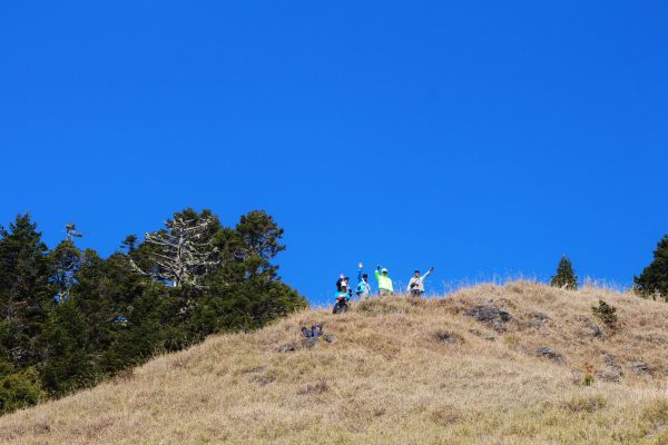 單攻 志佳陽大山 - 體能進階考驗 !286724