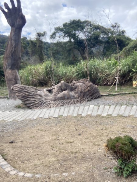 雪山坑環線步道2991146