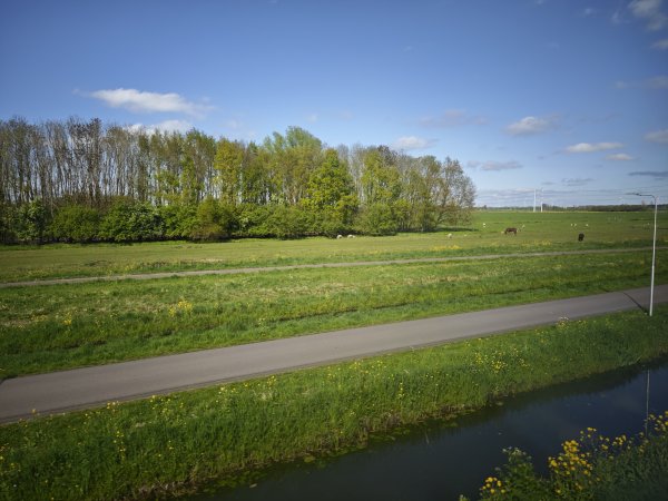 2025_0420 倫敦馬拉松順遊西歐 D2d(往鹿特丹鐵路沿線景觀)2786140