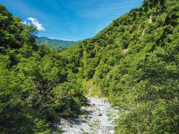 [百岳]能高越嶺逆走與奇萊南峰1042676