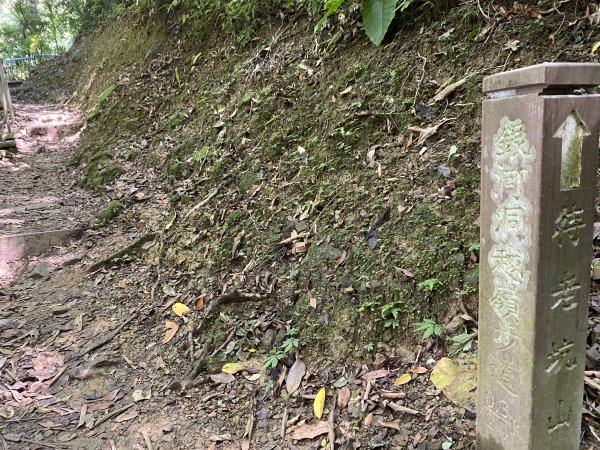 2025微笑山線大縱走尋寶集章任務-Ep.07【二格山系】銀河洞越嶺2888099