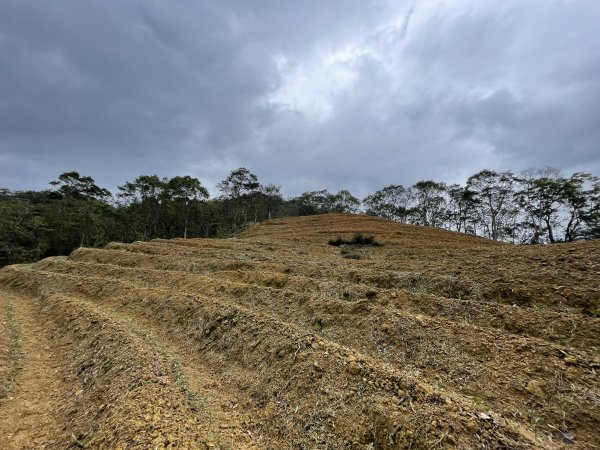 坪林烏窟子山2685875