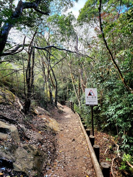 小百岳集起來-馬那邦山2181256