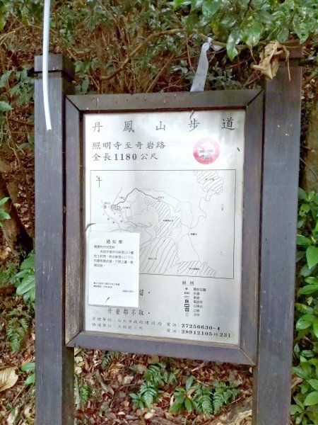 軍艦岩、丹鳳山親山步道793182