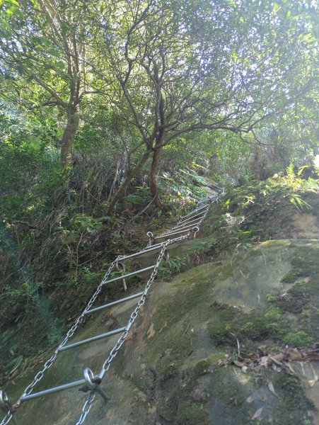 2025.10.10－微笑山線：【二格山系】皇帝殿稜線2919515