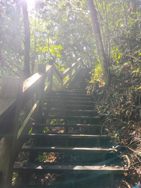 四寮溪生態步道2882185