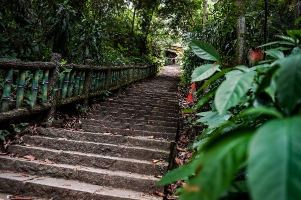 劍潭山小百岳｜老地方觀機平台2886024