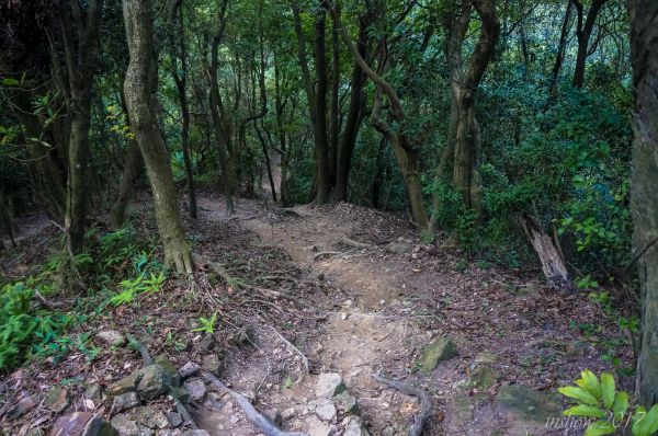 青龍嶺到大棟山，觀桃園落日，賞台北夜景211448