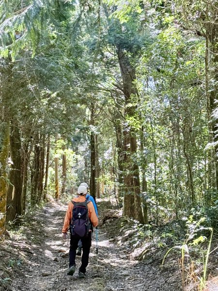 南投仁愛.埔里基石巡禮--眉溪山.東關刀山(北北峰.北峰）.墘溪山.石盤坑山    2024.12669705