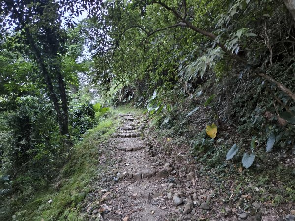 [漫遊縱谷 愛在花東-09/10] 2025_1012 米棧古道2913557