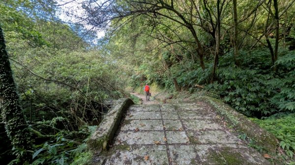 114.06.28內平林山-番子坑山-平湖森林遊樂區之O型2824290