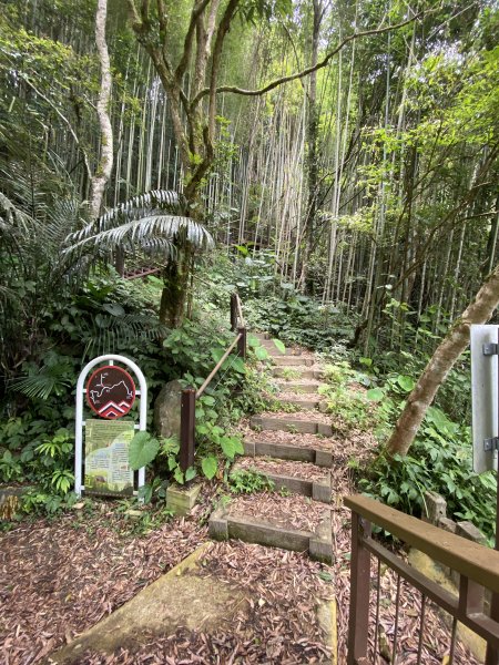 20250705-Ep.02白蘭溪古道-2025森遊竹縣皮皮獅探險隊2851393