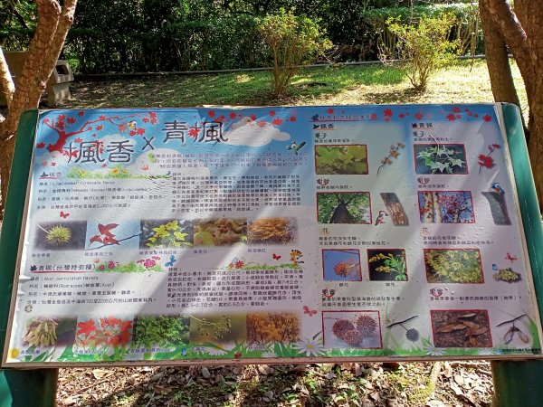 桃園大溪石門水庫楓林步道、齋明寺古道【南山神壽任務】1963890