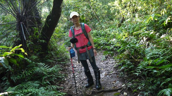 松蘿湖單攻登山健行趣（步道）1522166