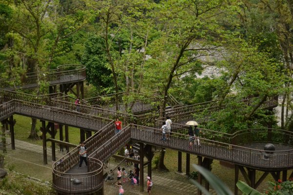 知本森林國家公園園區&步道1321017