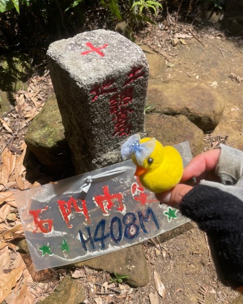 微笑山⛰️線-大棟-二格山-五分山-天上山-鳶山💎12條步道完成💙2837225