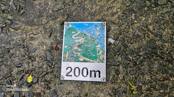 20260302忠義山.小坪頂山.貴子坑山大O走3009797