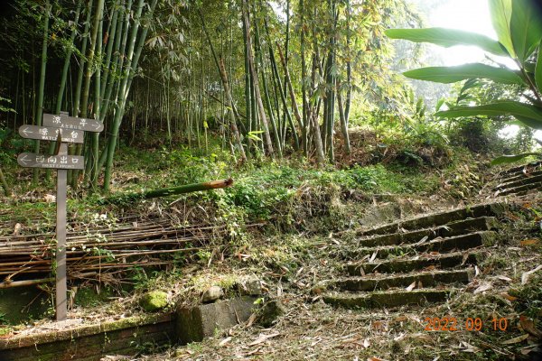 南投 鹿谷 尖子頂山(麒麟山)1841768