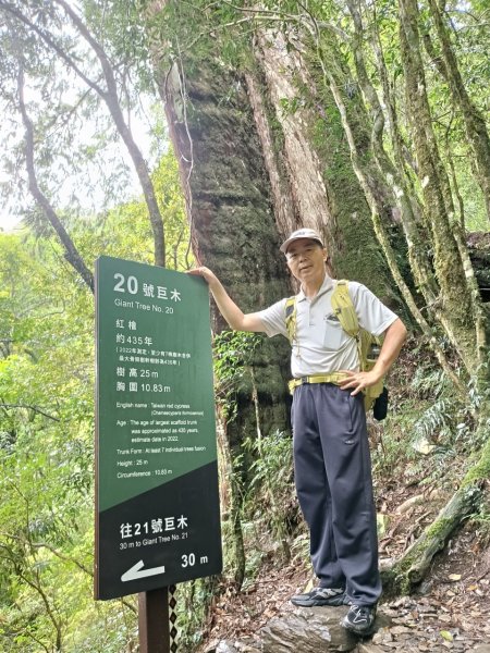 拉拉山巨木步道-塔曼山步道_202407022569704