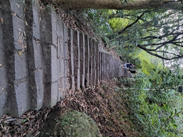新北硬漢領步道3105909