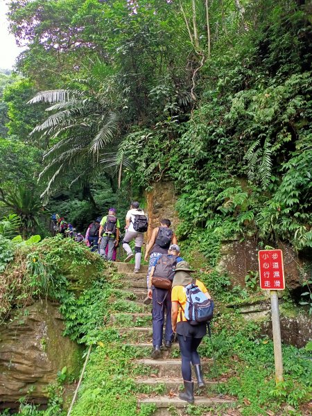 銀河洞瀑布→銀河洞越嶺步道→樟湖步道→待老坑山→杏花林→樟湖山→樟山寺→飛龍步道→政大→動物園門口1764745